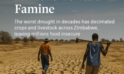 Zimbabwe’s Drought Crisis: A Nation on the Brink