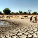 Zimbabwe’s Drought Crisis: A Nation on the Brink