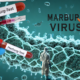 Marburg Outbreak: One of the World’s Deadliest Viruses Strikes Rwanda