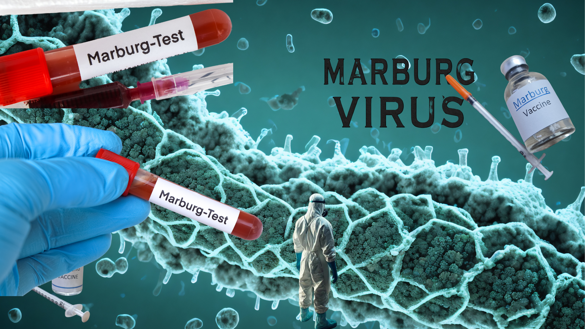Marburg Outbreak: One of the World’s Deadliest Viruses Strikes Rwanda Marburg Outbreak: One of the World’s Deadliest Viruses Strikes Rwanda
