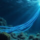 Undersea Internet Cables Severed in Baltic Sea: Sabotage Sparks Geopolitical Alarm