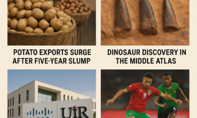 From Potatoes to Paleontology: Morocco’s Big Wins on August 14, 2025