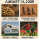 From Potatoes to Paleontology: Morocco’s Big Wins on August 14, 2025