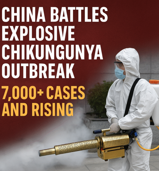 Explosive Chikungunya Outbreak Hits China: What You Need to Know